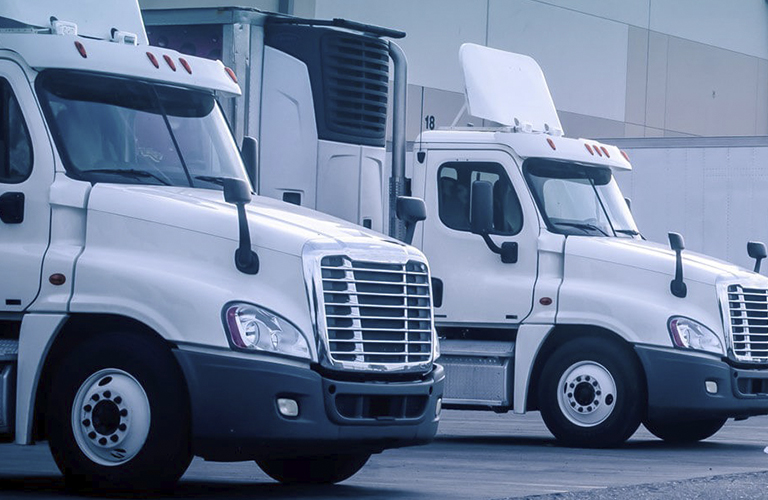 transporte y distribucion